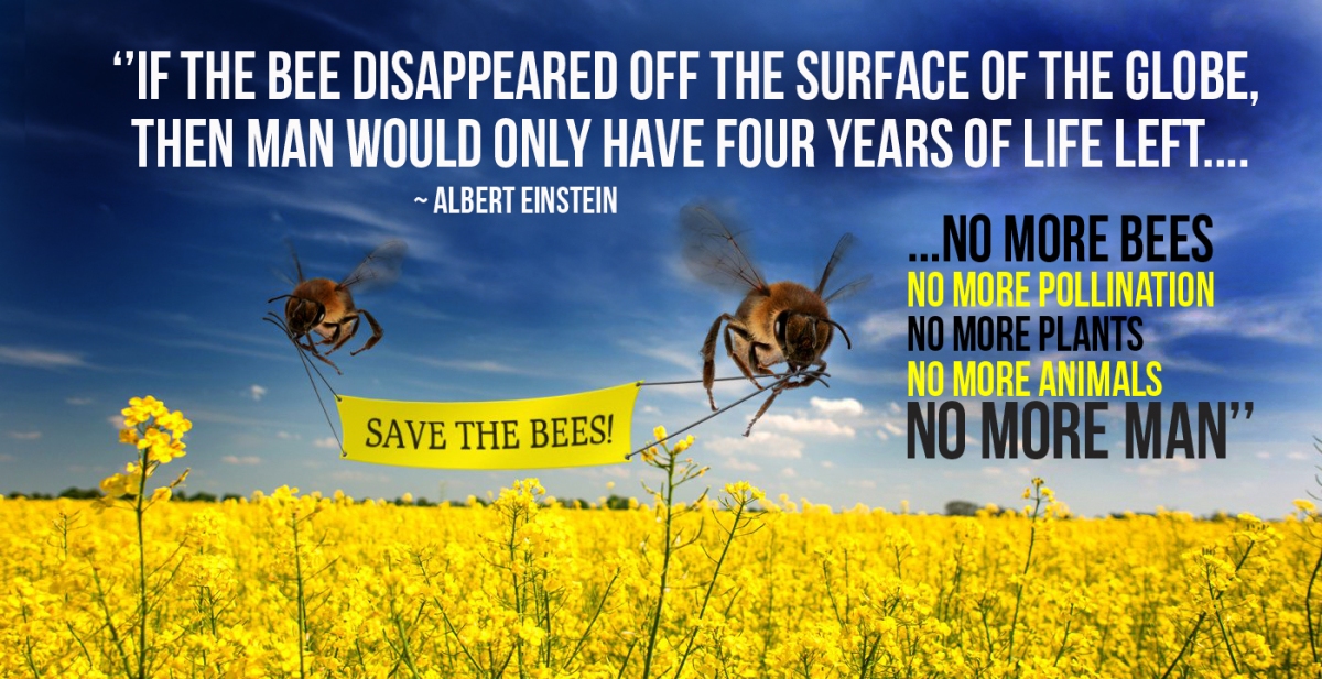Resultado de imagen de logo greenpeace save the bees
